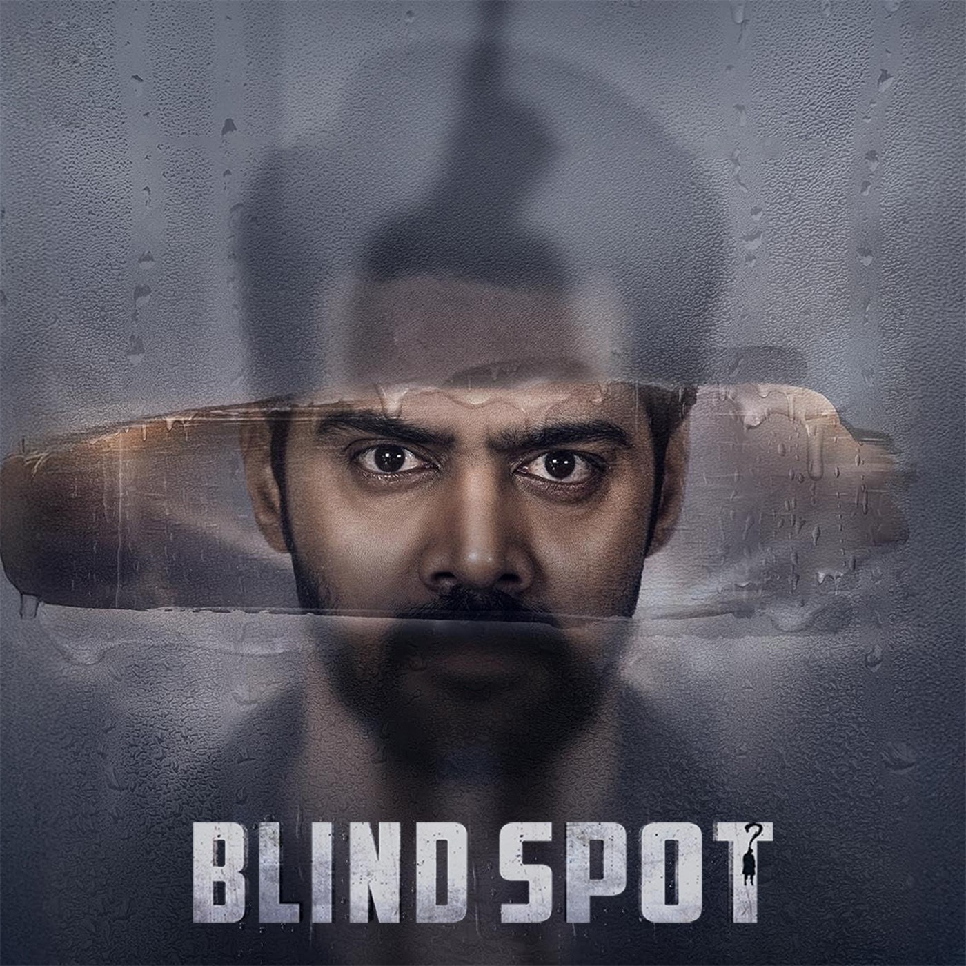 Blind Spot Full Moive 720p HD Download